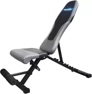 Скамья для жима штанги Proiron СКАМ01 фото