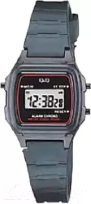 Наручные часы Q&#38;Q LLA2J203Y фото
