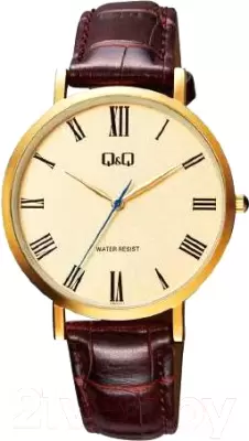 Наручные часы Q&#38;Q QA20J117Y фото