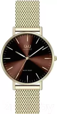 Наручные часы Q&#38;Q QA20J820Y фото