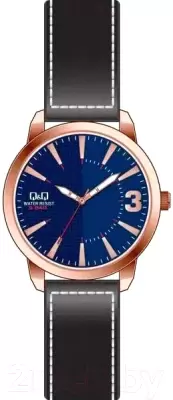 Наручные часы Q&#38;Q QA98J102Y фото