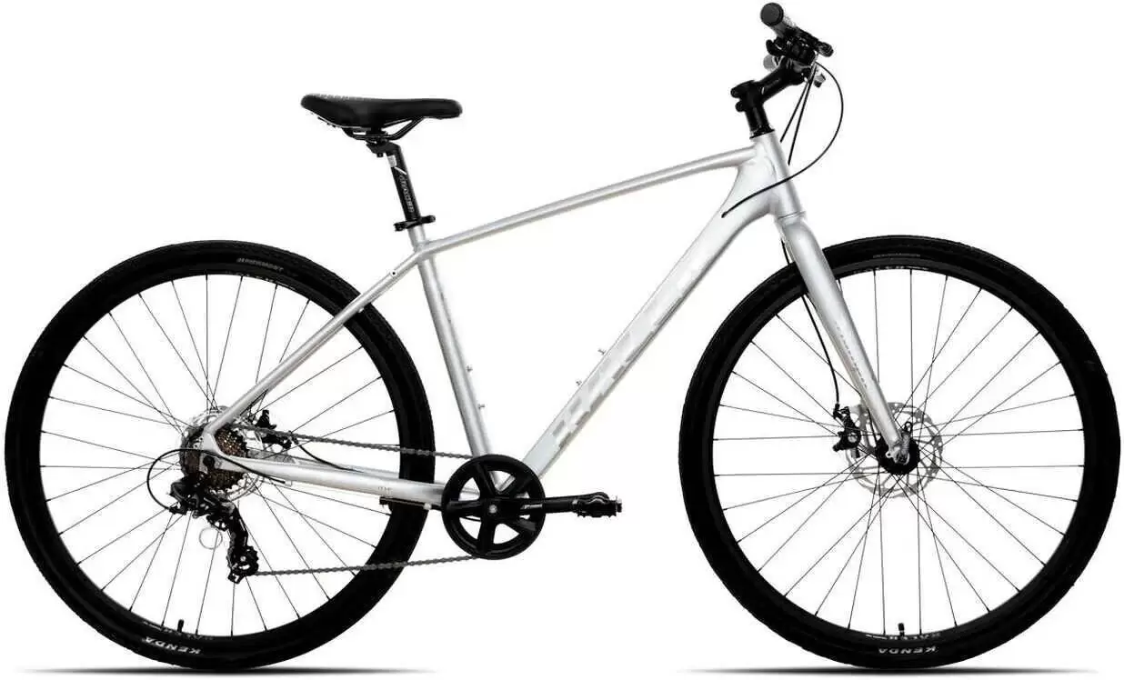 Racer Triumph р.19 2025 (серебристый глянец)