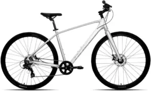 Racer Triumph р.19 2025 (серебристый глянец)