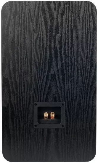 Полочная акустика Radiotehnika Sigma 1.01 (черный) фото