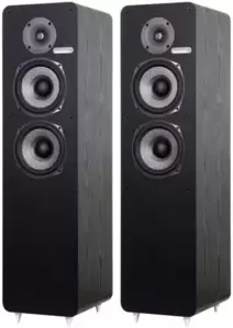 Напольная акустика Radiotehnika Sigma 1.02 (черный) фото