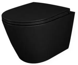 Унитаз Rak Ceramics Feeling RST23504A фото