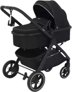 Детская универсальная коляска Rant Basic Roller 2 в 1 / RA161 (Black) icon