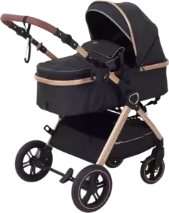 Детская универсальная коляска Rant Basic Roller Gold RA161 (2 в 1, black) фото