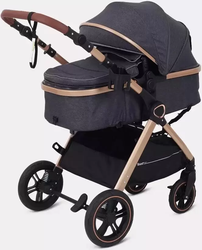 Детская универсальная коляска Rant Basic Roller Gold RA161 (2 в 1, grey) фото