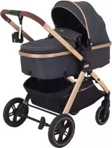 Детская универсальная коляска Rant Basic Roller Gold RA161 (2 в 1, grey) фото