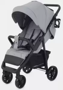 Детская прогулочная коляска Rant Basic Vega 2024 / RA105 (серый) icon