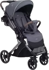 Детская прогулочная коляска Rant Basic Vortex / RA304 (Titan) фото