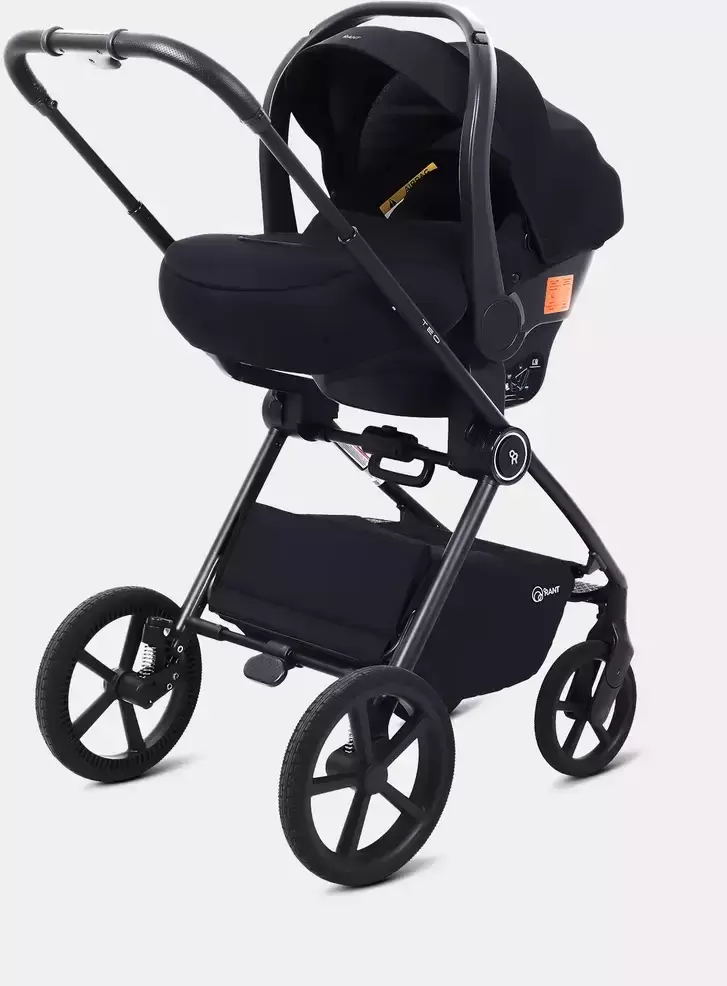 Детское автокресло Rant Carry Pro / UB516 (черный) фото