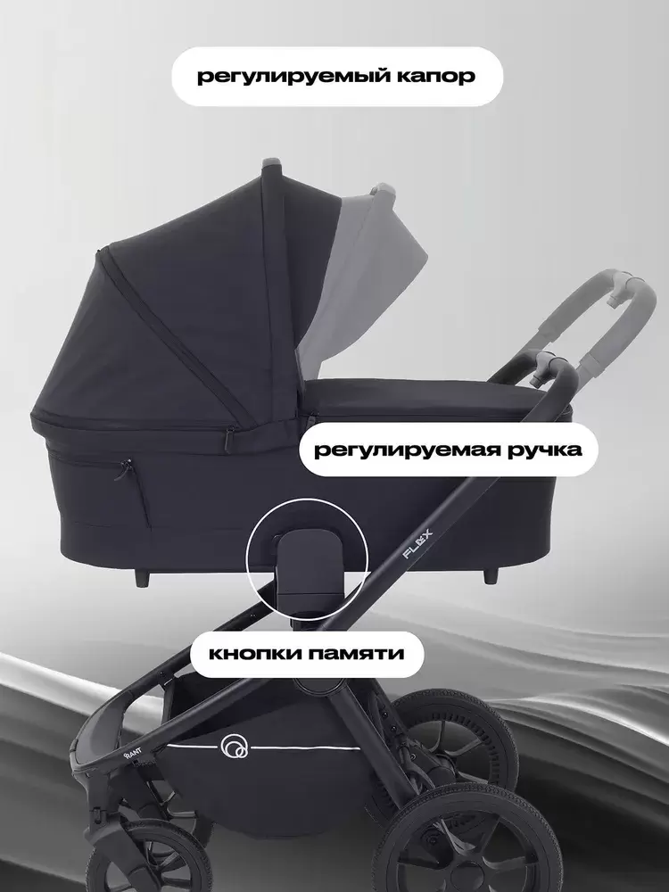 Детская универсальная коляска Rant Flex 2 в 1 RA076 (Black) фото