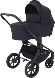 Детская универсальная коляска Rant Flex 2 в 1 RA076 (Black)