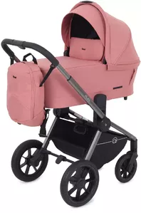 Детская универсальная коляска Rant Flex Pro 2 в 1 2023 / RA074 (pink) фото