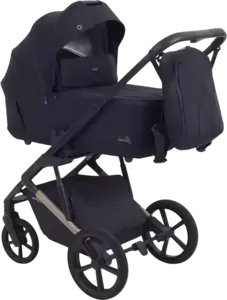 Детская универсальная коляска Rant Garda 2 в 1 RA114 (Black)