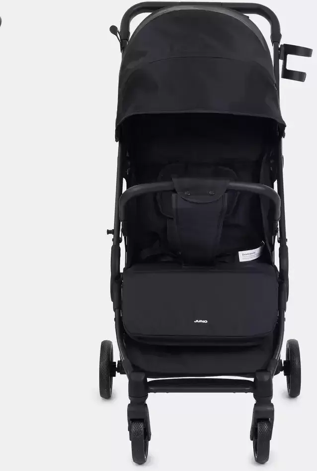 Детская прогулочная коляска Rant Juno RA302 (graphite) фото
