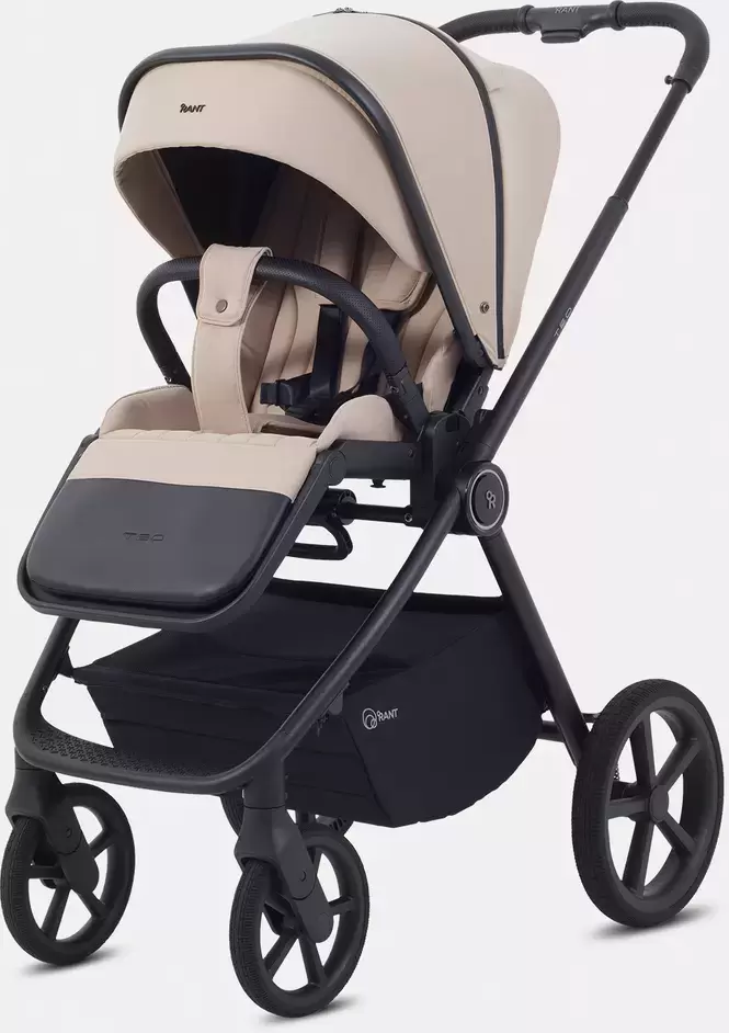 Детская универсальная коляска Rant Teo Soft 2 в 1 / RA121 (бежевый) фото