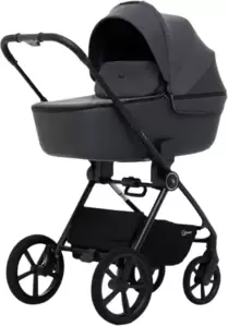 Детская универсальная коляска Rant Teo Soft 2 в 1 / RA121 (графит)