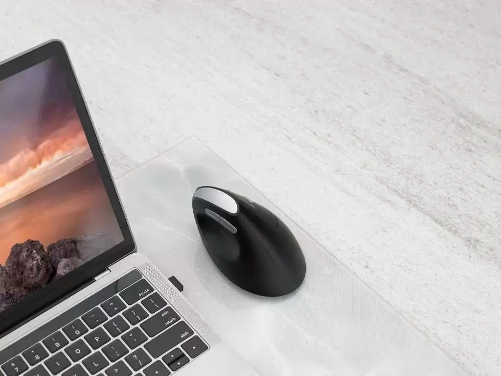 Вертикальная мышь Rapoo EV250 (черный) фото