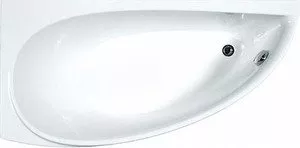 Угловая акриловая ванна Ravak Avocado 160x75 фото
