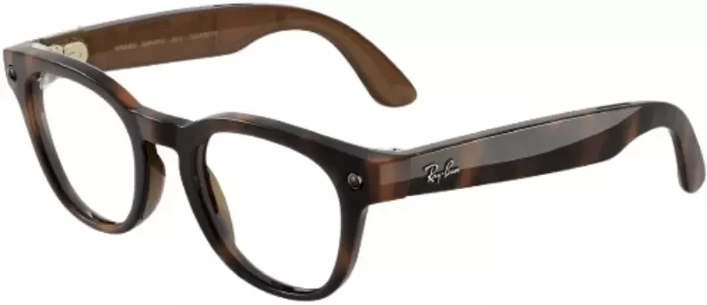 Ray-Ban Meta Scriber Optics Gen 2 RW7002 (shiny havana)
