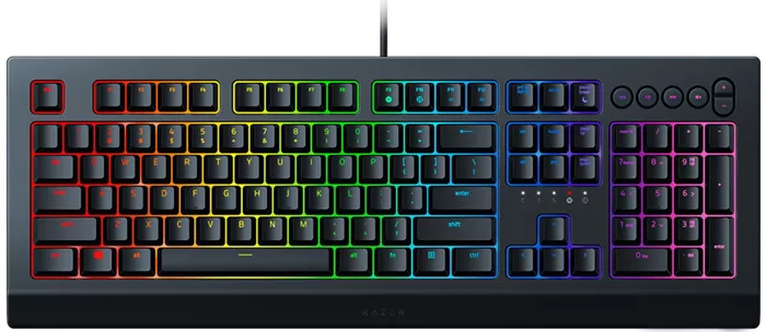 Razer Cynosa v2