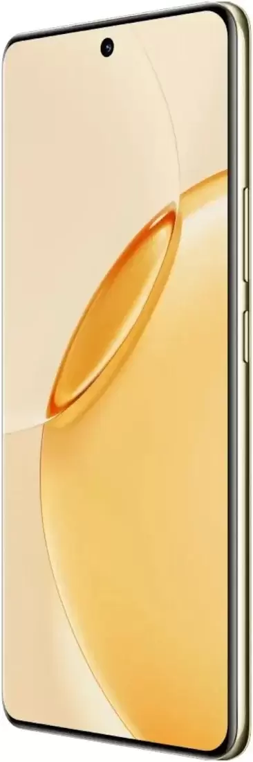 Realme 16 Pro+ 5G 12GB/256GB международная версия (бежевый) фото 2