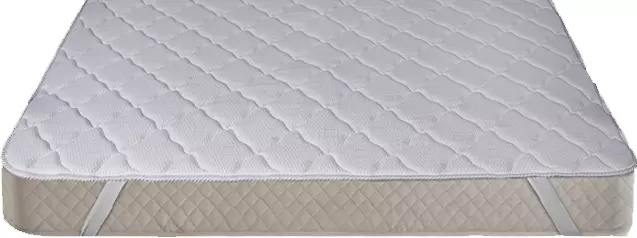 Реноме Топпер 42/146н 160x200