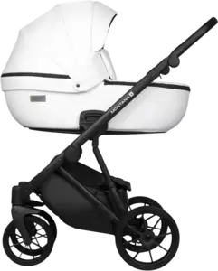 Детская универсальная коляска Riko Montana X Ecco 2 В 1 Basic 11 (белый) фото