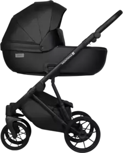 Детская универсальная коляска Riko Montana X Ecco 2 В 1 Basic 12 (черный) фото