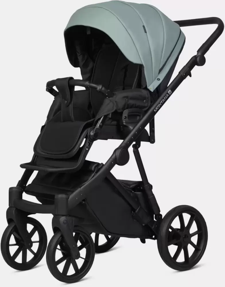 Детская универсальная коляска Riko Montana X Ecco 2 в 1 Basic 21 (зеленый) фото