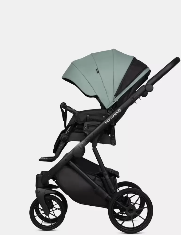 Детская универсальная коляска Riko Montana X Ecco 2 в 1 Basic 21 (зеленый) фото