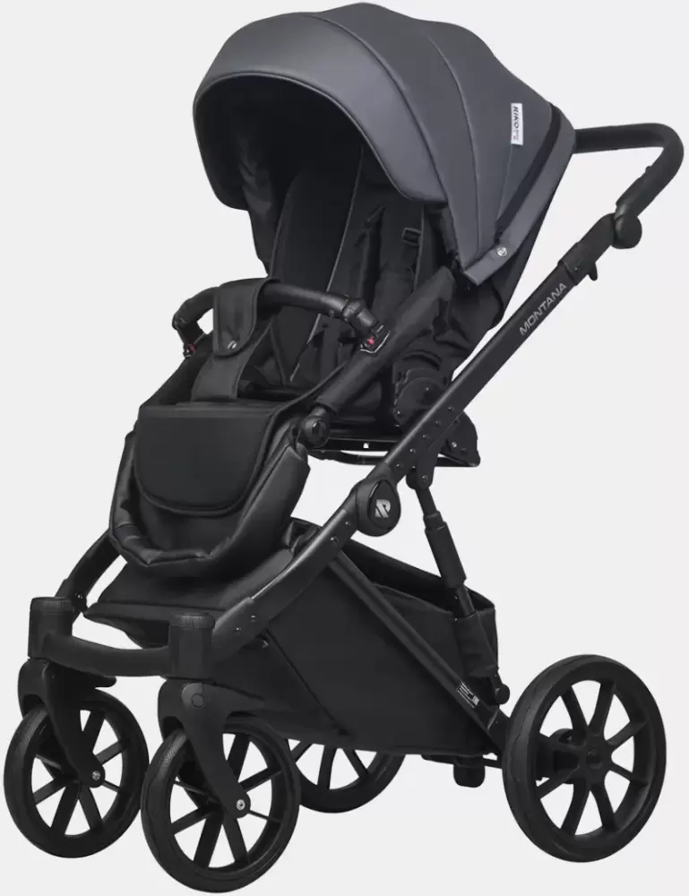 Детская универсальная коляска Riko Montana X Ecco 2 в 1 Basic 24 (графит) фото