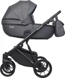 Riko Montana X Ecco 2 в 1 Basic 24 (графит)