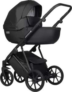 Детская универсальная коляска Riko Montana X Ecco 3 в 1 Basic (черный) фото