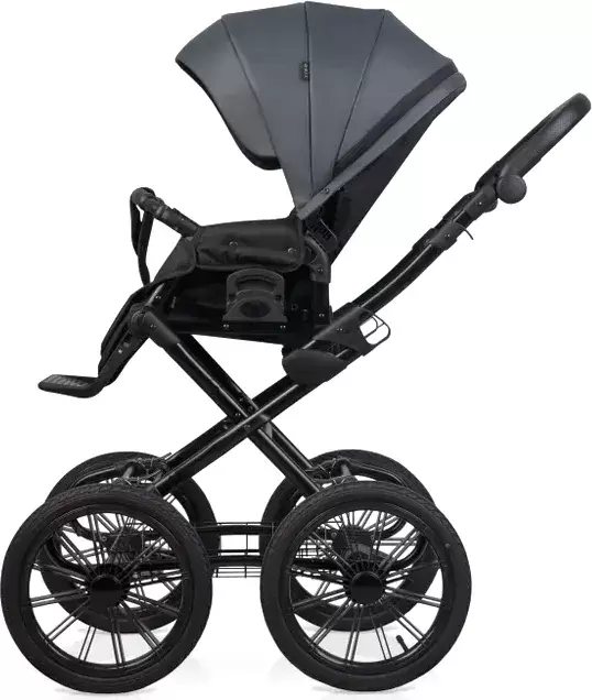 Детская универсальная коляска Riko Montana X Ecco Prestige 2 В 1 Basic (графит) фото