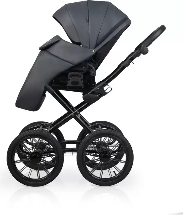 Детская универсальная коляска Riko Montana X Ecco Prestige 2 В 1 Basic (графит) фото