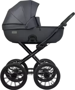 Детская универсальная коляска Riko Montana X Ecco Prestige 2 В 1 Basic (графит) фото