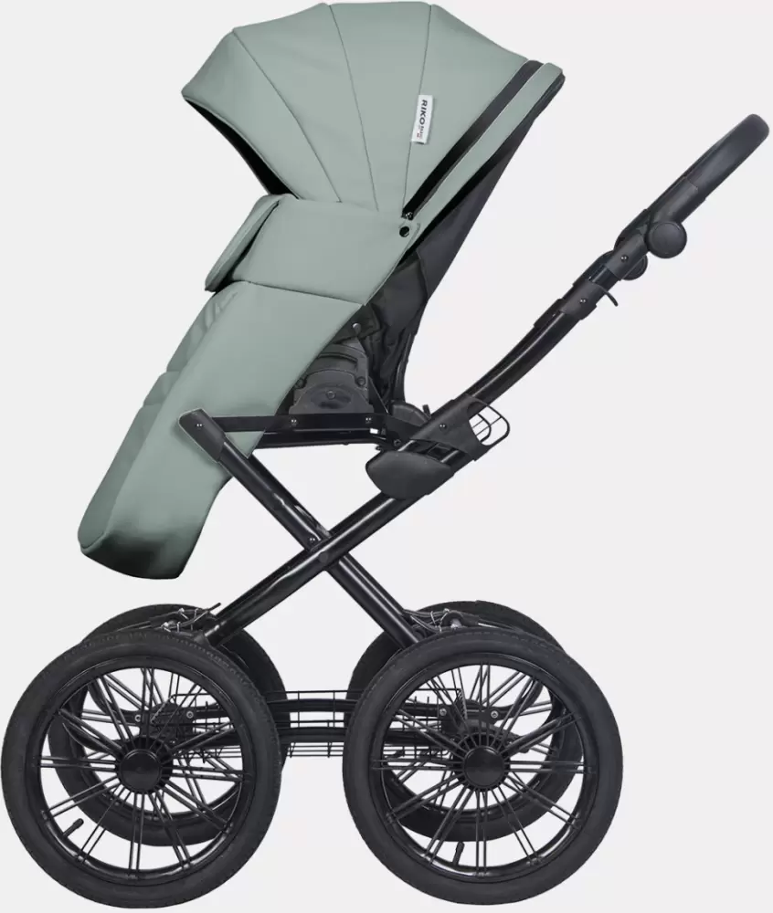 Детская универсальная коляска Riko Montana X Ecco Prestige 2 в 1 Basic 21 (зеленый) фото