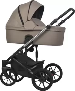 Riko Nano Thermo Ecco 2 в 1 (капучино)