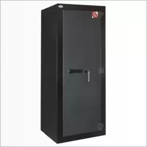 Рипост ВМ 3101