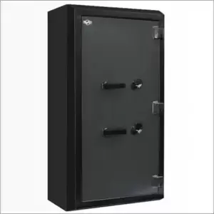 Рипост ВМ 6002