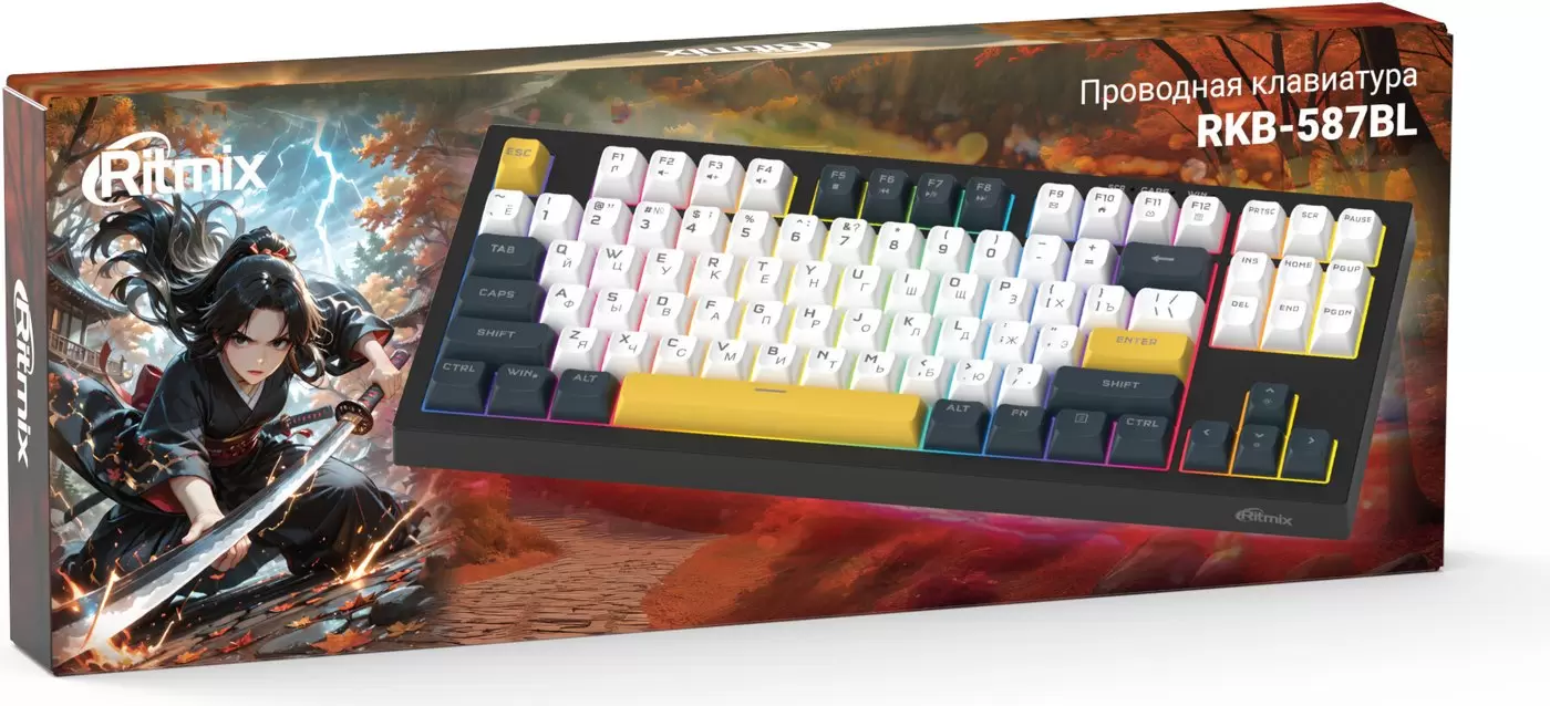 Клавиатура Ritmix RKB-587BL (черный/белый) фото 4