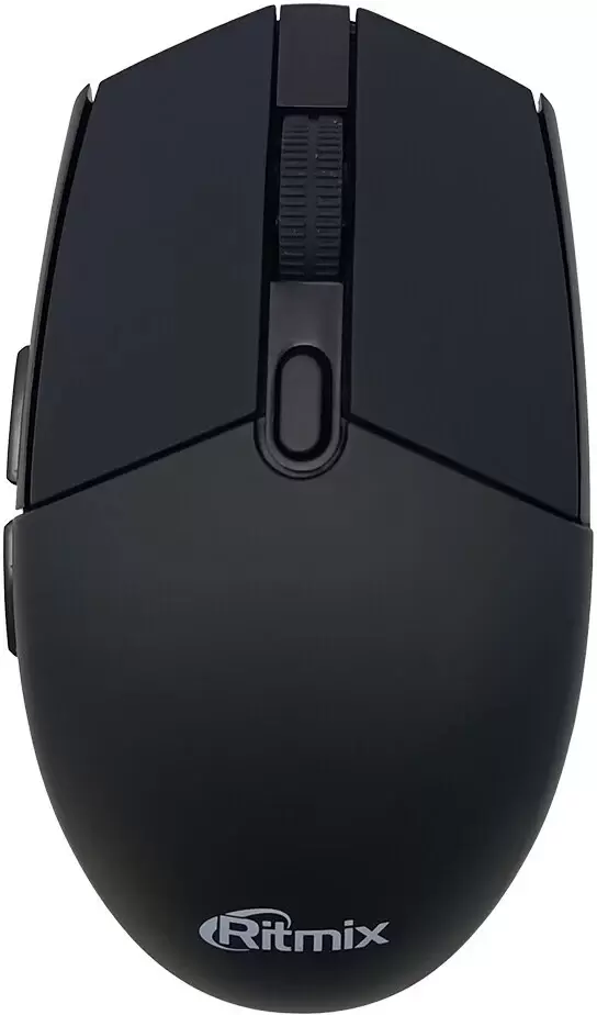 Ritmix RMW-213