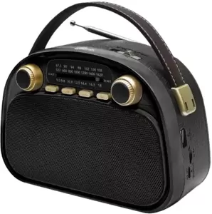 Радиоприемник Ritmix RPR-040 (черный)