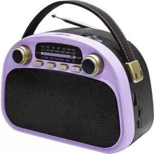Радиоприемник Ritmix RPR-040 (лавандовый)
