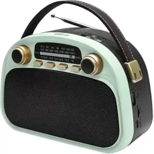 Радиоприемник Ritmix RPR-040 (мятный)