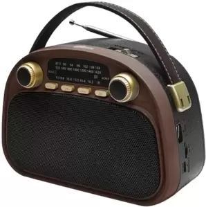 Радиоприемник Ritmix RPR-040 (шоколадный)